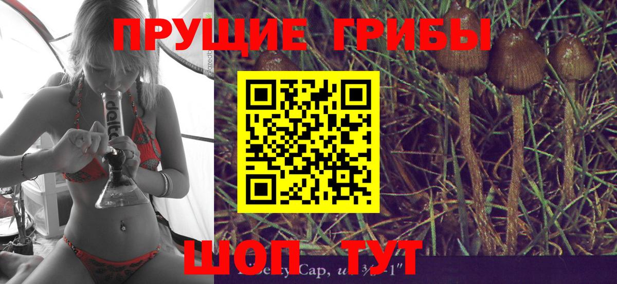 Галлюциногенные грибы ЛСД Туапсе