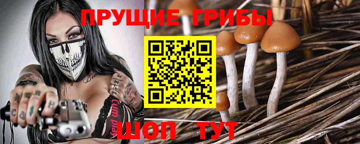 Галлюциногенные грибы мухоморы  Галлюциногенные грибы Cubensis  Туапсе  Вход с VPN 